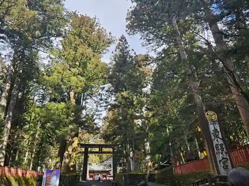 日光東照宮(栃木県)