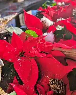 立志神社(滋賀県)