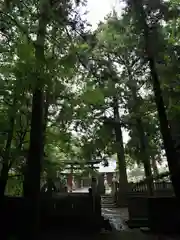 一宮神社の鳥居