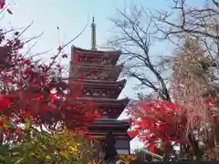 本土寺(千葉県)