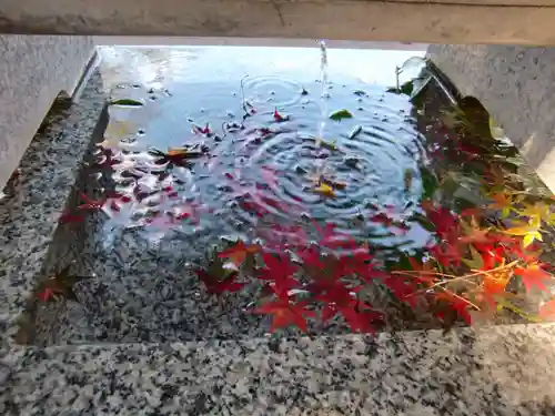 大宮・大原神社(千葉県)