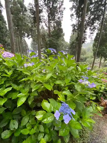 千光寺(福岡県)