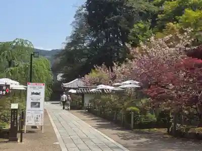 長谷寺本坊　大講堂(奈良県)