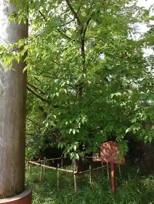 蒲神明宮(静岡県)