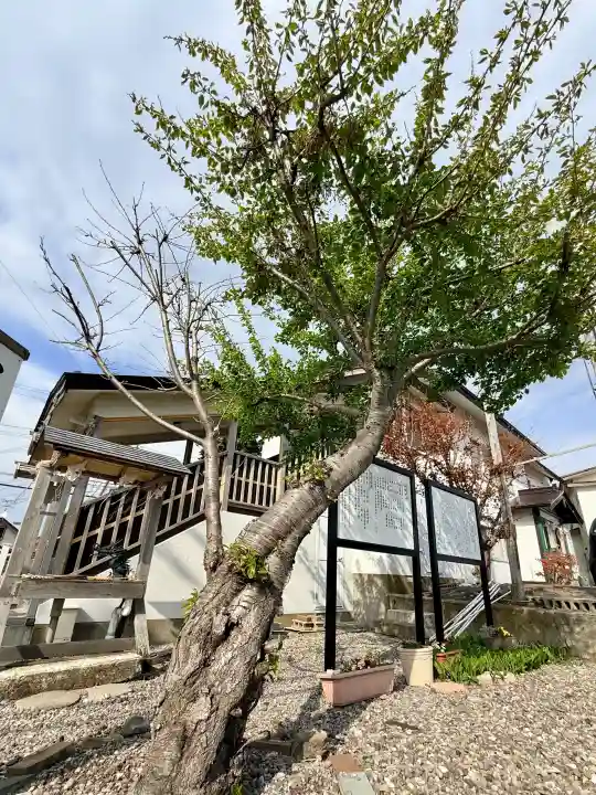 出雲大社函館教会の{uncategorized: "未分類", other: "その他", undefined: "問題あり", building: "その他建物", grave: "お墓", sacred_gate: "鳥居", guardian: "狛犬", statue: "像", buddha: "仏像", history: "歴史", nature: "自然", garden: "庭園", animal: "動物", pagoda: "塔", temizu: "手水舎", mountain_gate: "山門・神門", sanctuary: "本殿・本堂", subordinate: "末社・摂社", art: "芸術", scenery: "景色", jizo: "地蔵", ema: "絵馬", goshuin: "御朱印", omikuji: "おみくじ", items: "授与品その他", amulet: "お守り", goshuincho: "御朱印帳", eats: "食事", festival: "お祭り", votive_dance: "神楽", shichigosan: "七五三参", wedding: "結婚式", experience: "体験その他", initially: "初詣", around: "周辺", anti_infection: "感染症対策"}