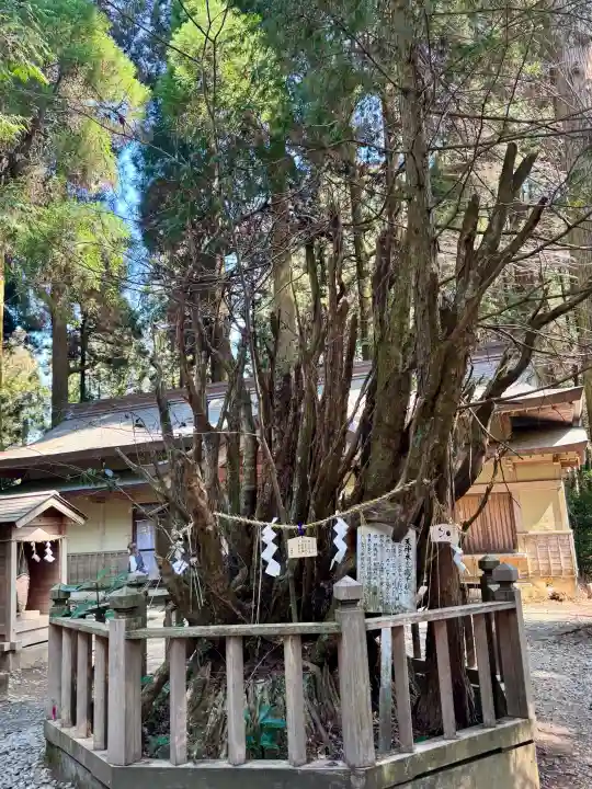 幣立神宮(熊本県)