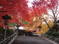 最乗寺(道了尊)(神奈川県)