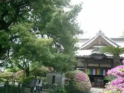 安養院　(田代寺）の本殿・本堂
