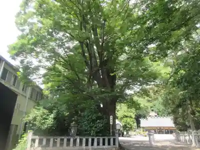 濱名惣社神明宮(静岡県)