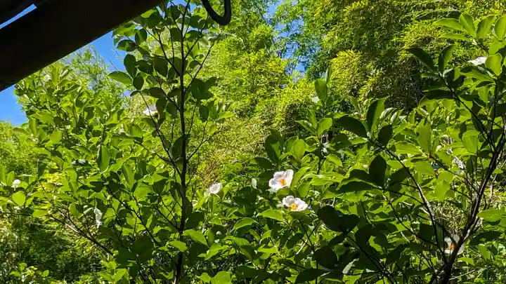 東林院(京都府)