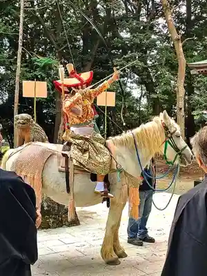 諏訪八幡神社のお祭り