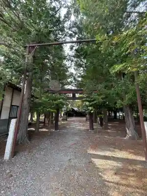 氷室五社神社の{uncategorized: "未分類", other: "その他", undefined: "問題あり", building: "その他建物", grave: "お墓", sacred_gate: "鳥居", guardian: "狛犬", statue: "像", buddha: "仏像", history: "歴史", nature: "自然", garden: "庭園", animal: "動物", pagoda: "塔", temizu: "手水舎", mountain_gate: "山門・神門", sanctuary: "本殿・本堂", subordinate: "末社・摂社", art: "芸術", scenery: "景色", jizo: "地蔵", ema: "絵馬", goshuin: "御朱印", omikuji: "おみくじ", items: "授与品その他", amulet: "お守り", goshuincho: "御朱印帳", eats: "食事", festival: "お祭り", votive_dance: "神楽", shichigosan: "七五三参", wedding: "結婚式", experience: "体験その他", initially: "初詣", around: "周辺", anti_infection: "感染症対策"}