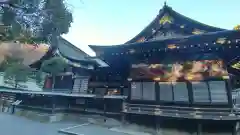 秩父神社(埼玉県)