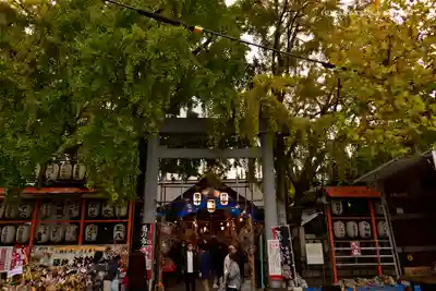 波除神社（波除稲荷神社）の鳥居