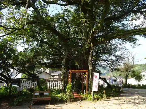 野島神社の御朱印