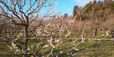 常磐神社の周辺