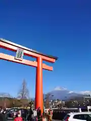 富士山本宮浅間大社の鳥居