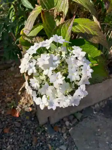 建勲神社の自然