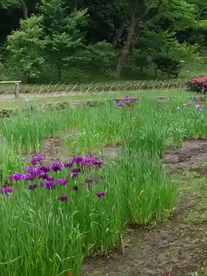 明治神宮(東京都)