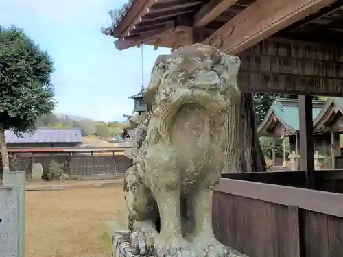 天津神社の狛犬