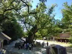 大山祇神社(愛媛県)