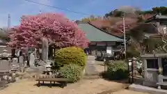 真乗寺の建物その他