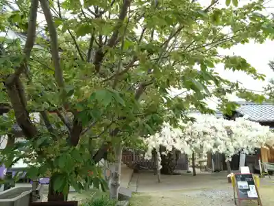 松應寺(愛知県)