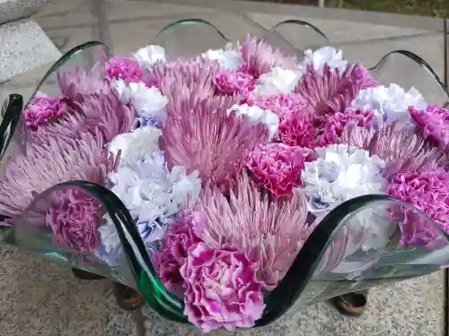 徳星寺(埼玉県)