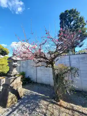 逆藤天満宮(栃木県)