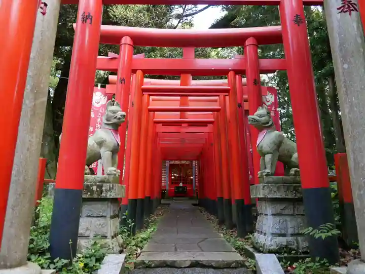 大杉神社(茨城県)