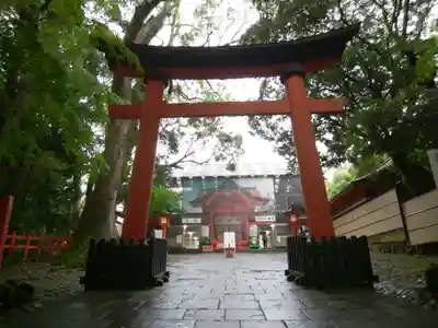 宇佐神宮の鳥居