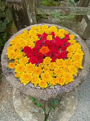 丹生都比売神社(和歌山県)