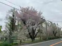 櫻宮の{uncategorized: "未分類", other: "その他", undefined: "問題あり", building: "その他建物", grave: "お墓", sacred_gate: "鳥居", guardian: "狛犬", statue: "像", buddha: "仏像", history: "歴史", nature: "自然", garden: "庭園", animal: "動物", pagoda: "塔", temizu: "手水舎", mountain_gate: "山門・神門", sanctuary: "本殿・本堂", subordinate: "末社・摂社", art: "芸術", scenery: "景色", jizo: "地蔵", ema: "絵馬", goshuin: "御朱印", omikuji: "おみくじ", items: "授与品その他", amulet: "お守り", goshuincho: "御朱印帳", eats: "食事", festival: "お祭り", votive_dance: "神楽", shichigosan: "七五三参", wedding: "結婚式", experience: "体験その他", initially: "初詣", around: "周辺", anti_infection: "感染症対策"}