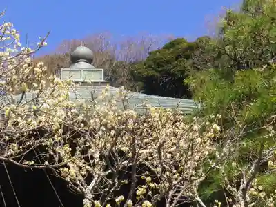 瑞泉寺のその他建物