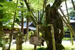 蠶養國神社の自然