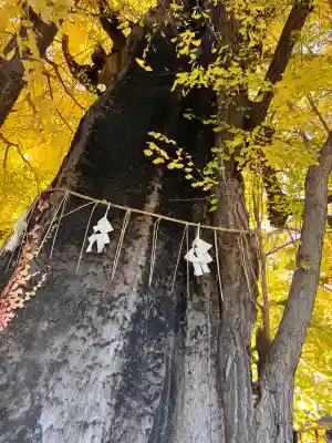 飛木稲荷神社(東京都)