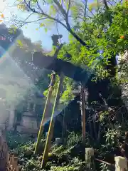 赤坂氷川神社(東京都)