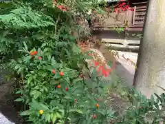 岡崎神社の自然