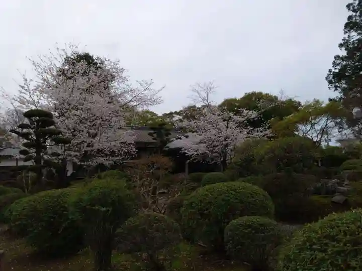 本妙寺(熊本県)