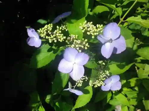 御霊神社の自然