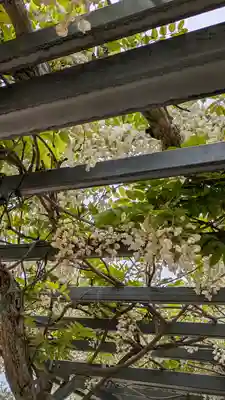 誉田八幡宮(大阪府)