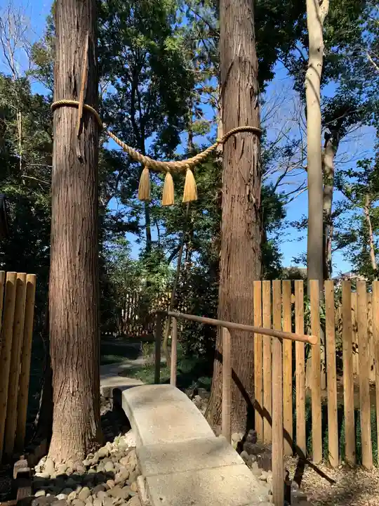 岩槻久伊豆神社の自然
