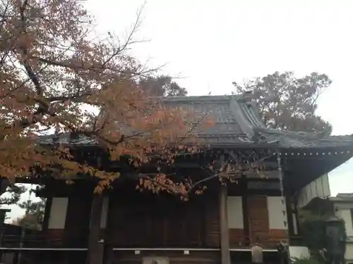 存明寺の本殿・本堂