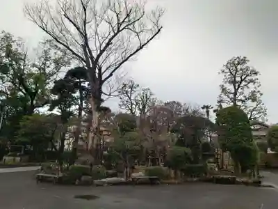 六郷神社(東京都)