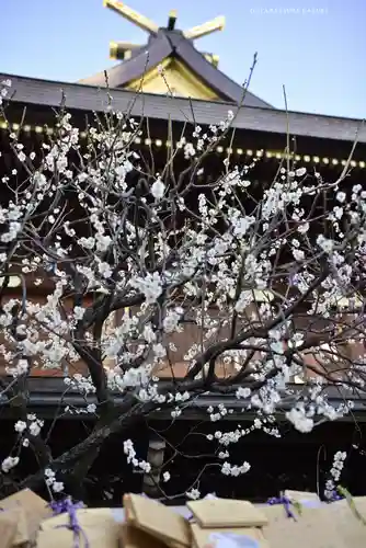 湯島天満宮(東京都)