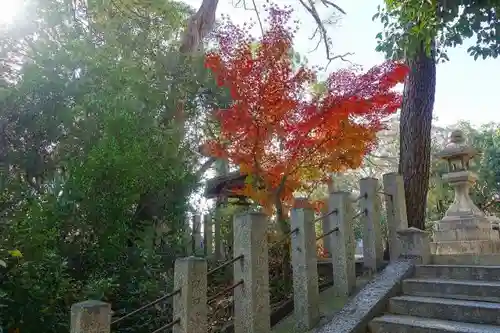 白鳥神社のその他建物