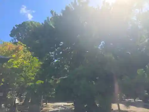 御霊神社（上御霊神社）(京都府)