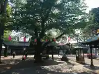 妙法寺のその他建物