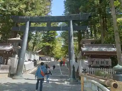 諏訪大社下社秋宮(長野県)