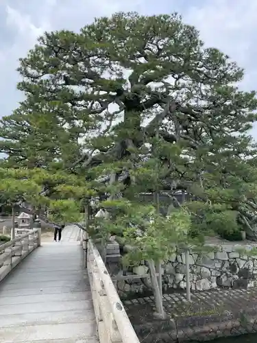 満月寺（浮御堂）(滋賀県)